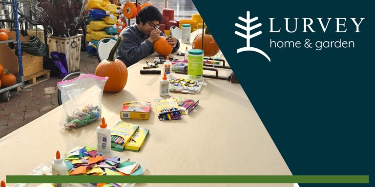 2025 Pumpkin Decorating Bar at Lurvey Home & Garden
