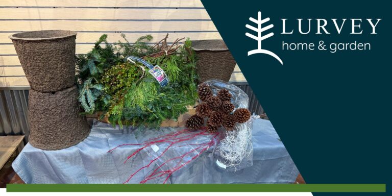 Hands-On Winter Container Potting Class – Morning