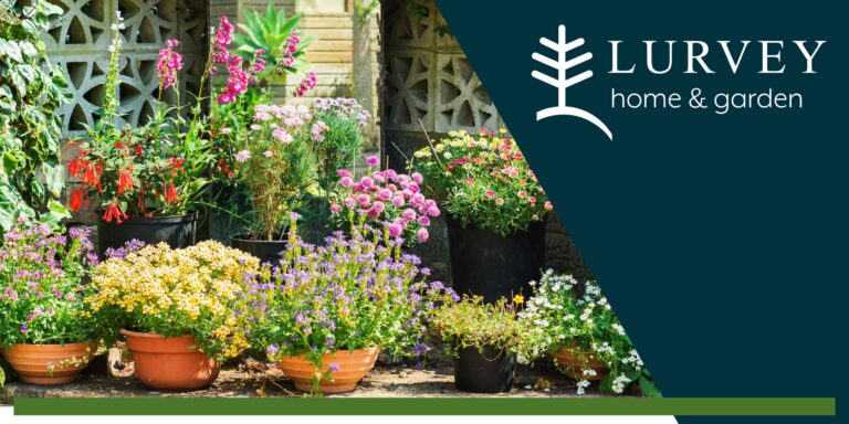 Refresh Your Summer Seasonal Container Demonstration