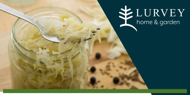 Kraut & About: Ferment and Can Like a Pro