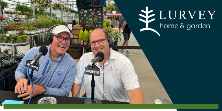 Keepin’ It Green! With Host Lou Manfredini & Landscaping Pro Bob Bertog