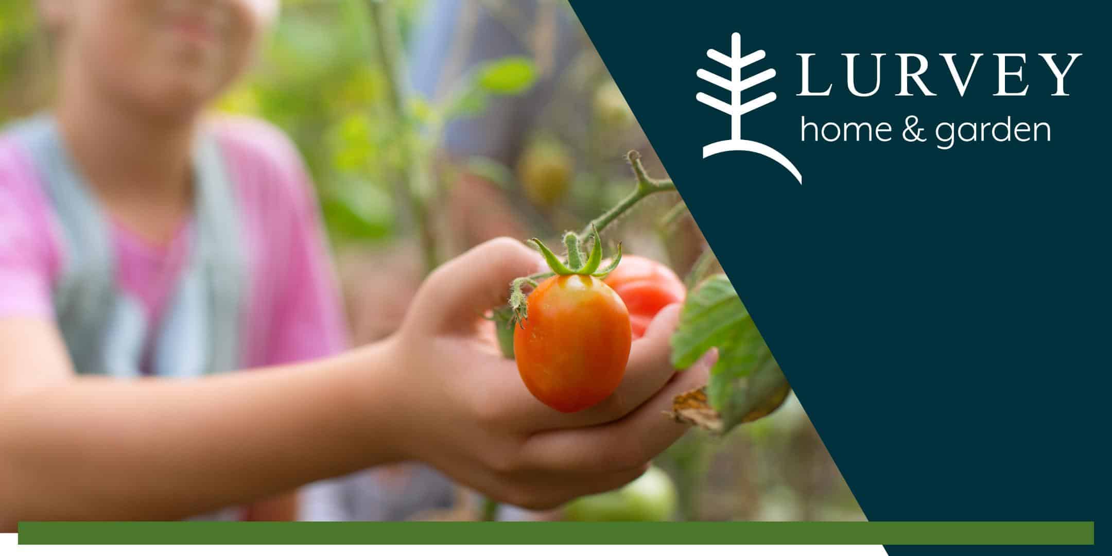 KIDS GARDEN CLUB: Tend The Garden