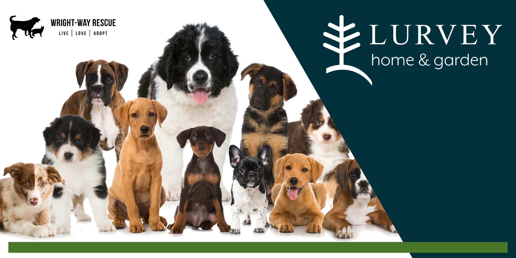 2026 Wright Way Rescue Adoption Event