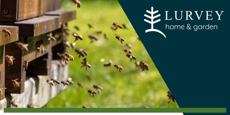 From Hive to Honey