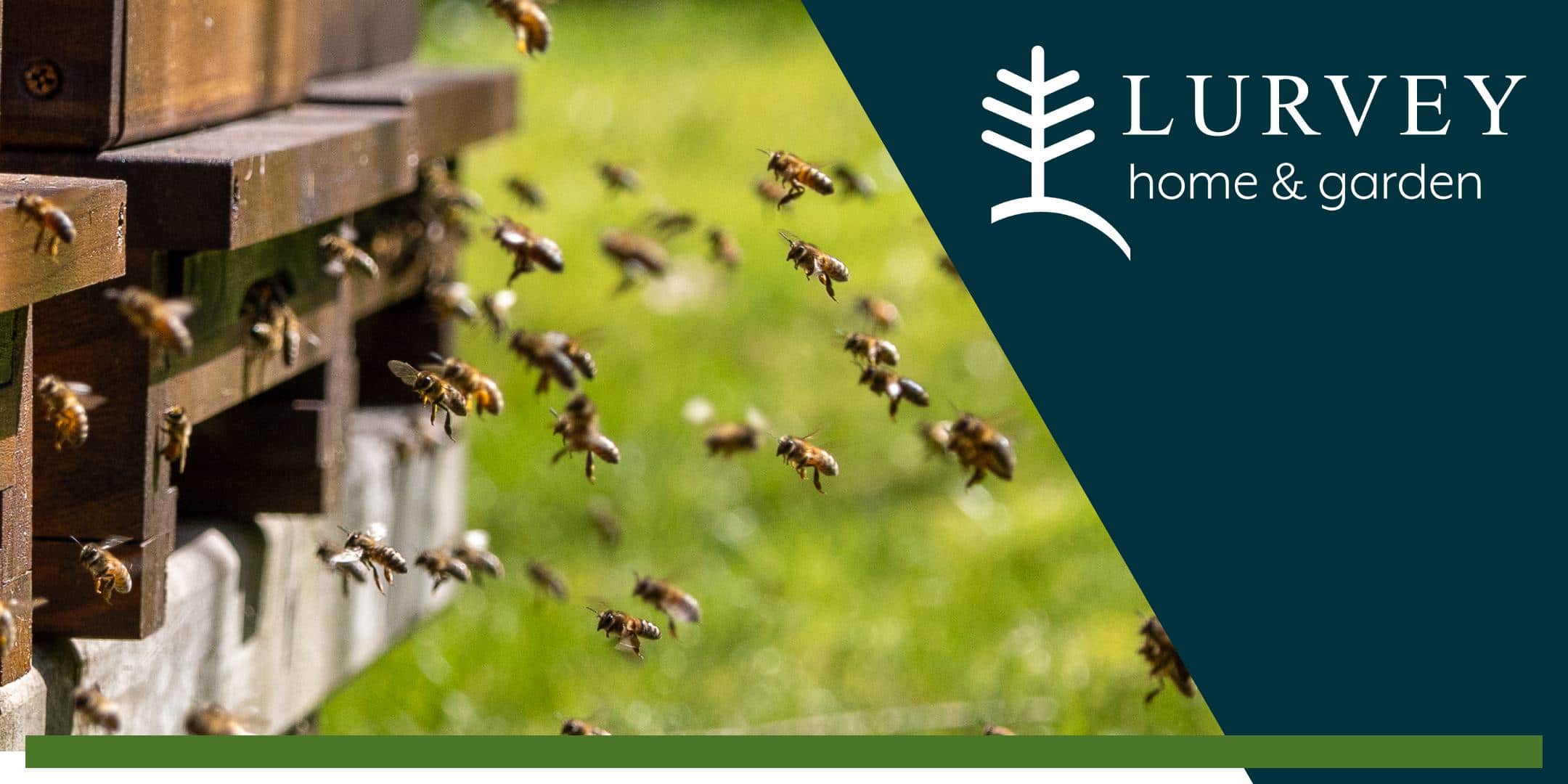 From Hive to Honey