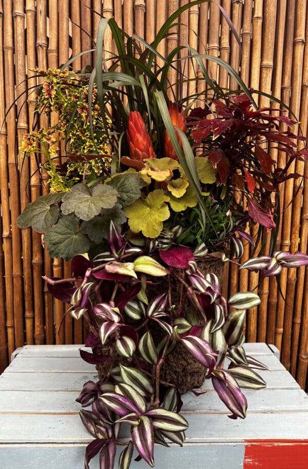 Grab and Go Fall $79.99 - Image 2