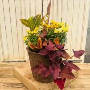 Grab and Go Fall $99.99