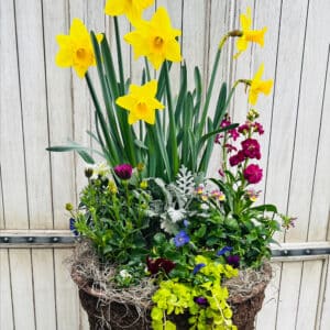 Grab and Go Spring $99.99