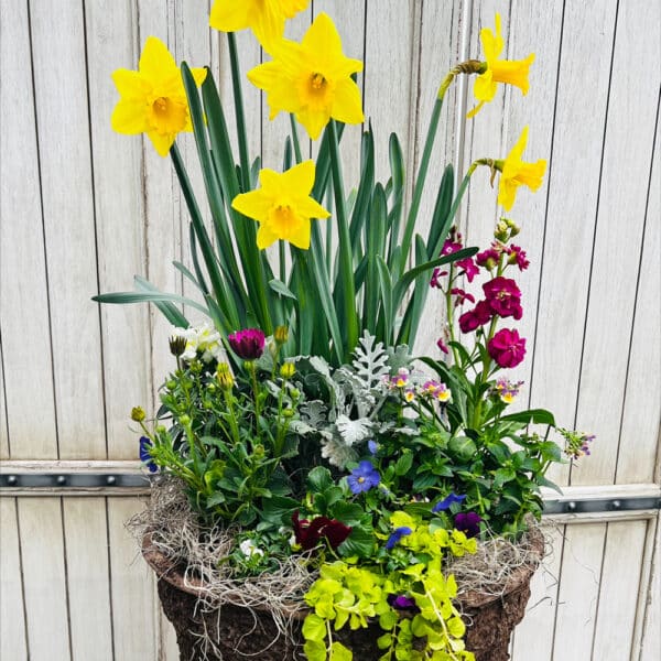 Grab and Go Spring $99.99