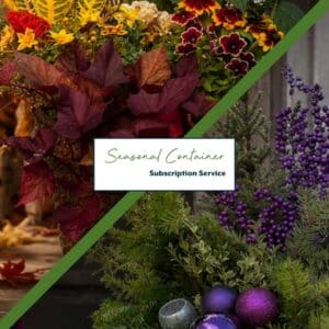 Seasonal Container Subscription Small - 2 Seasons