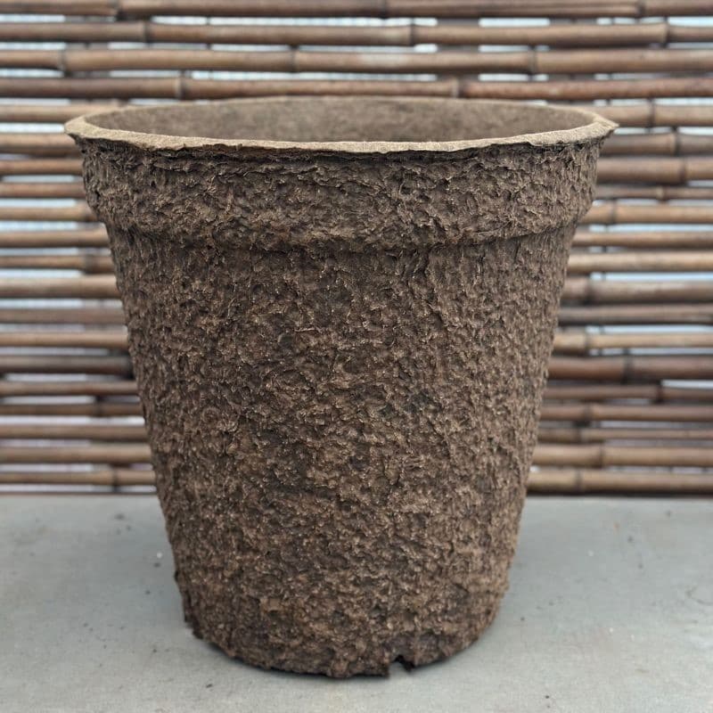 Seasonal Container Subscription Large - Image 2