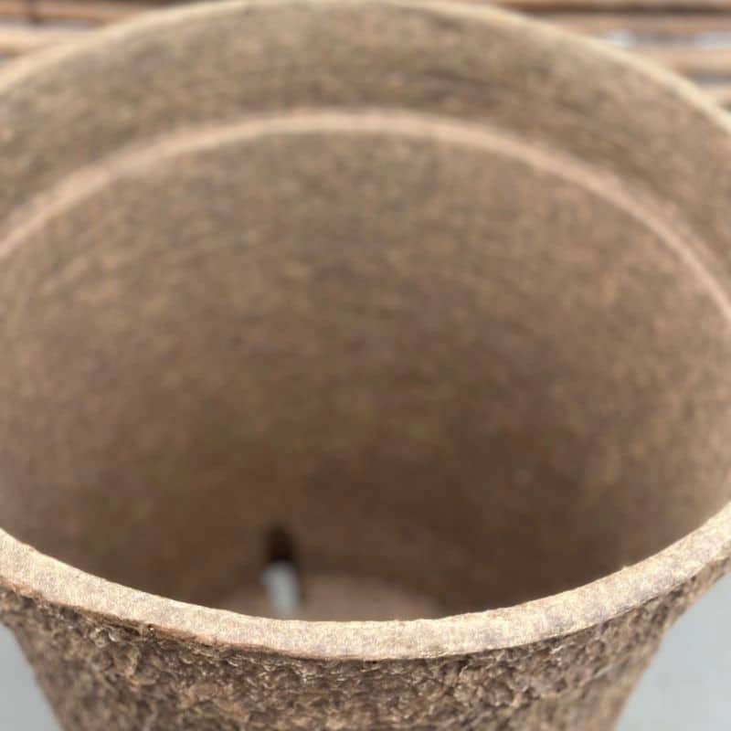 Seasonal Container Subscription Large - Image 3