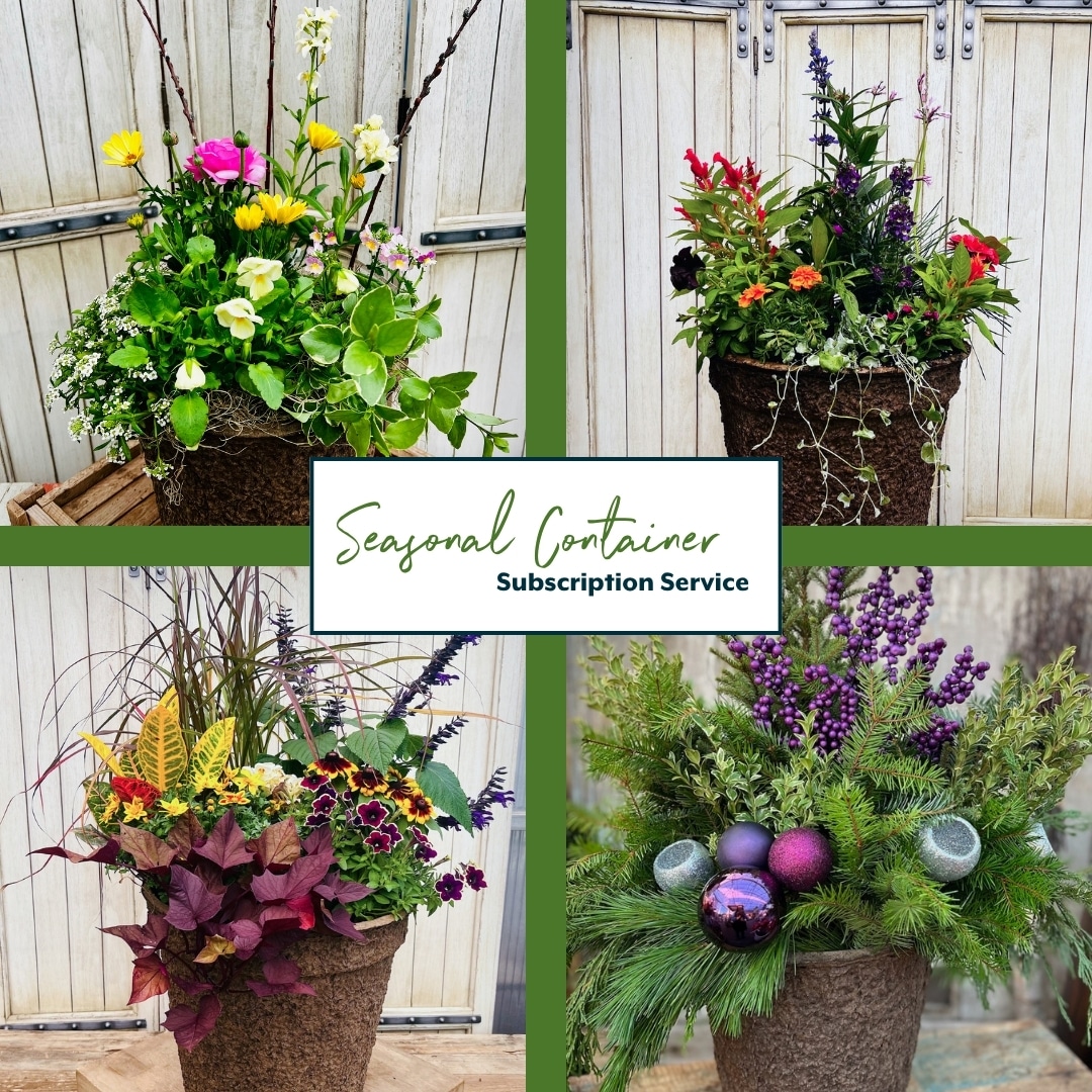Seasonal Container Subscription Large