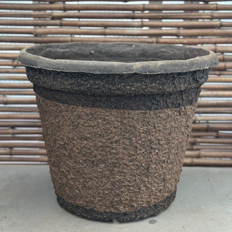 Seasonal Container Subscription X - Large - Image 2