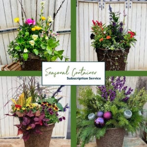 Seasonal Container Subscription X - Large