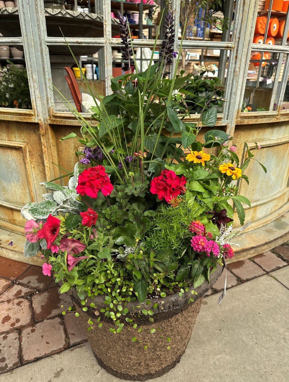 Grab and Go Summer $129.99