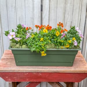 Grab and Go Spring $49.99