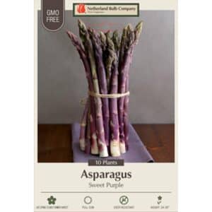 Asparagus Sweet Purple 10PK