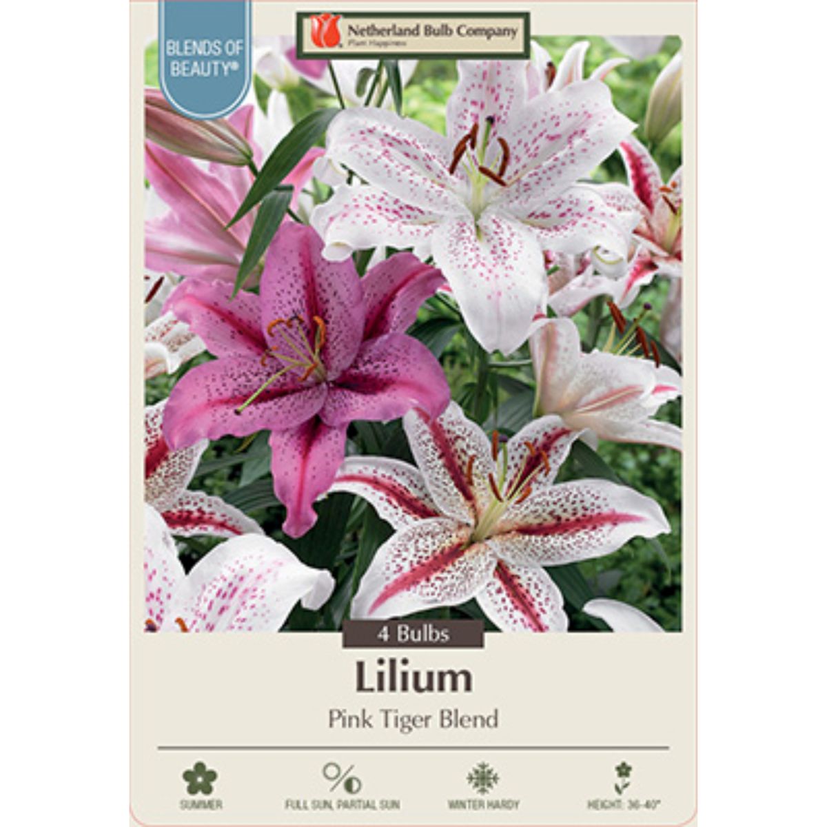 Lily Pink Tiger Blend 4PK