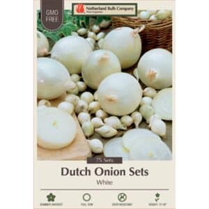 Onion Dutch White 75PK