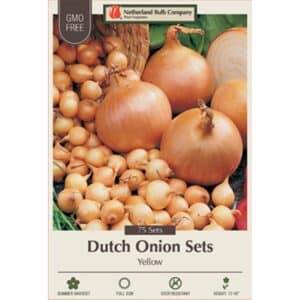 Onion Dutch Yellow 75PK