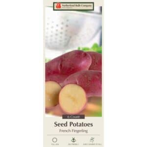 Potato French Fingerling 6PK