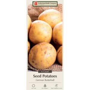 Potato German Butterball 6PK