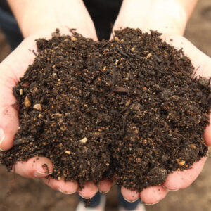 Bulk, Planters Mix
