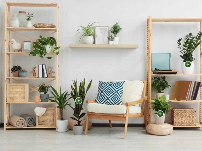 Bring The Outdoors In