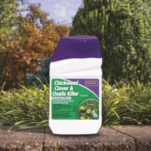 Bonide, Chickweed Clover/Oxalis Killer Concentrate