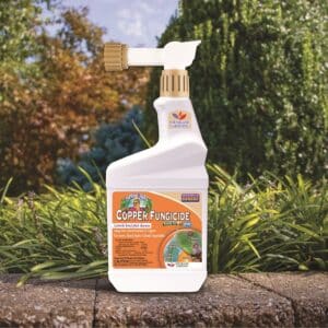 Bonide, Copper Fungicide RTS 16oz