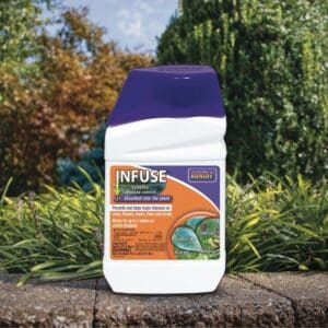 Bonide, Infuse Concentrate 16oz