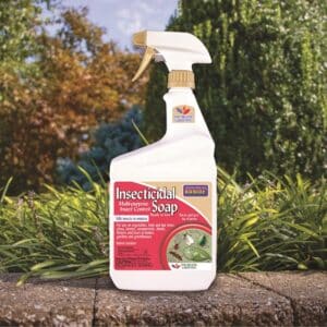 Bonide, Insecticidal Soap RTU 32oz