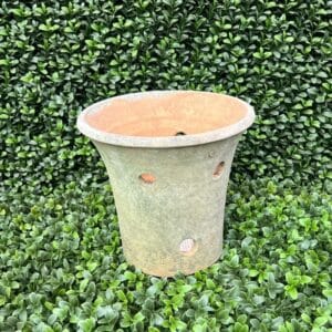 Campo De Fiori, Aged Orchid Planter, Med