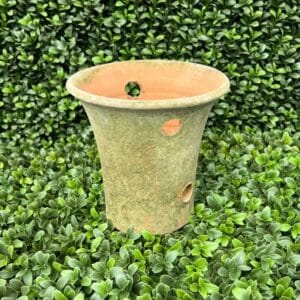 Campo De Fiori, Aged Orchid Planter, Sm