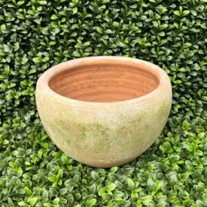 Campo De Fiori, Large Coquito Planter