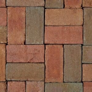 Belden, Belcrest 4x8 560