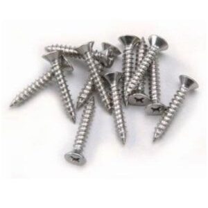 Grate Channel Spee-D Screws (48/bag)