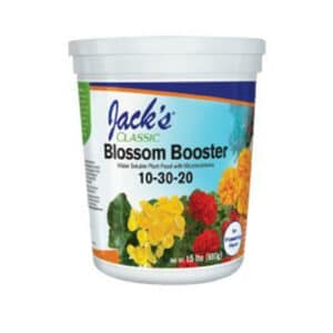 Jacks, Blossom Booster 10-30-20