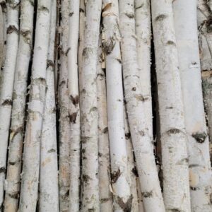EXT-Branch, Birch Pole (4'L x 1-2"D)