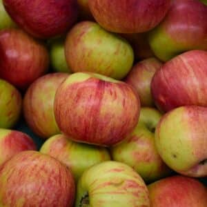 Apple, 'Cortland'