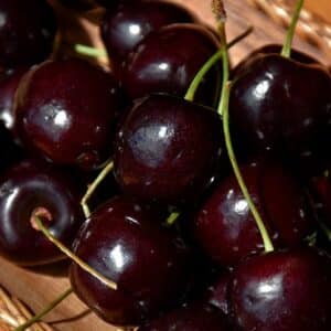 Cherry, 'Tartan'