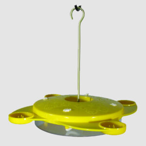 Butterfly Feeder