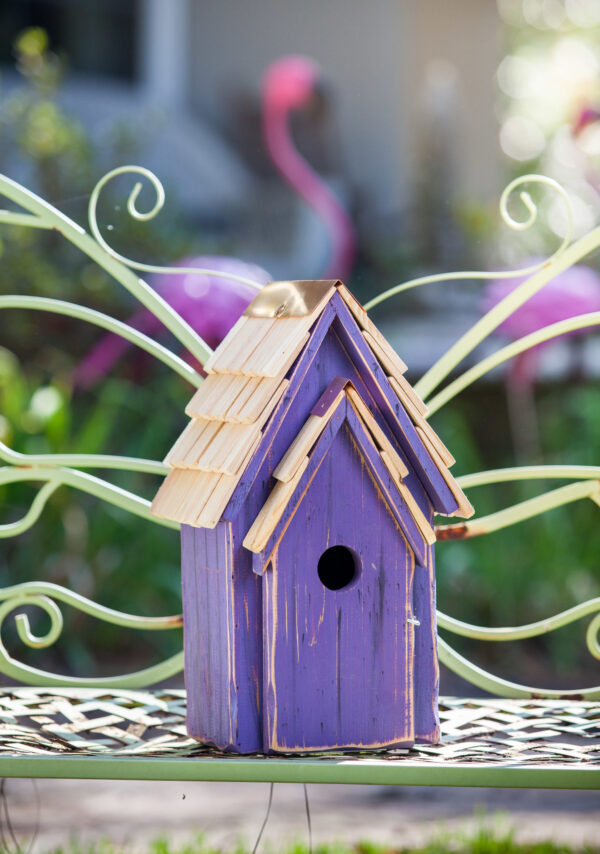 Bluebird Brights Birdhouse, Purple - Image 2