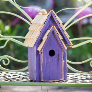 Bluebird Brights Birdhouse, Purple
