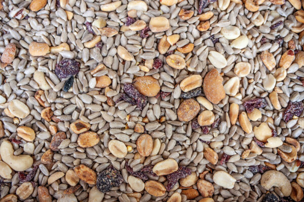 DeLco Patio Mix Bird Seed,20lb - Image 2