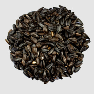 Black Oil Sunflower Seed, 10lb
