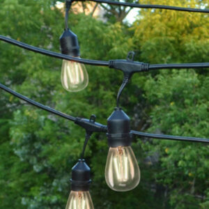 Vintage Patio Light Kit - 10 bulbs/ 20 ft