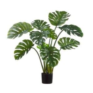 Allstate, Split Philo Plant 39"