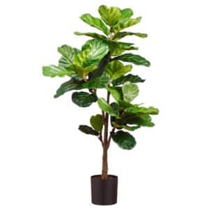 Allstate, Fiddle Leaf Plant 56"
